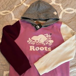 Roots kids colorblock hoodie size XXL (13-14 y/o)